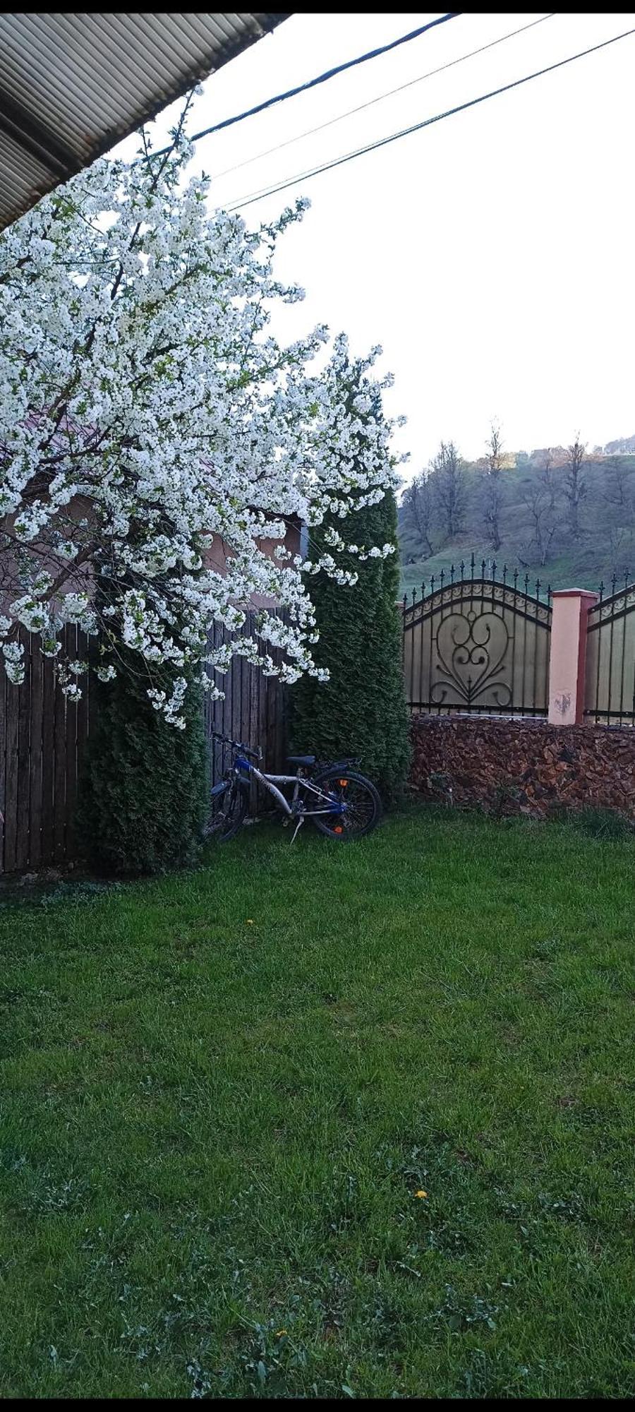 Hotel Popasul Drumetului Transfagarasan Curtea de Argeş Exterior foto